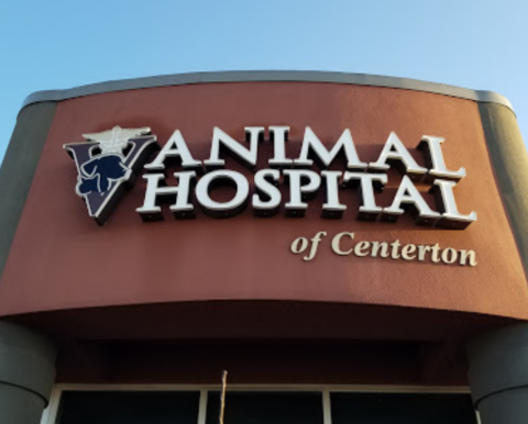 Best Vet In Centerton, AR | Animal Hospital Of Centerton