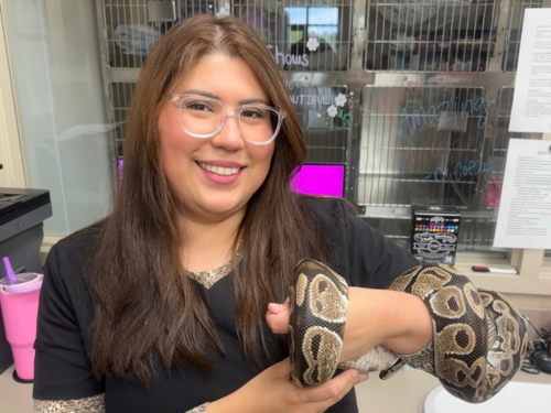 Animal Hospital of Centerton Dr. Vava
